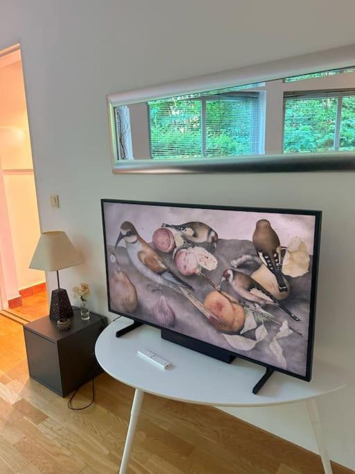 Apartment Naer Sentrum Skoyen Oslo